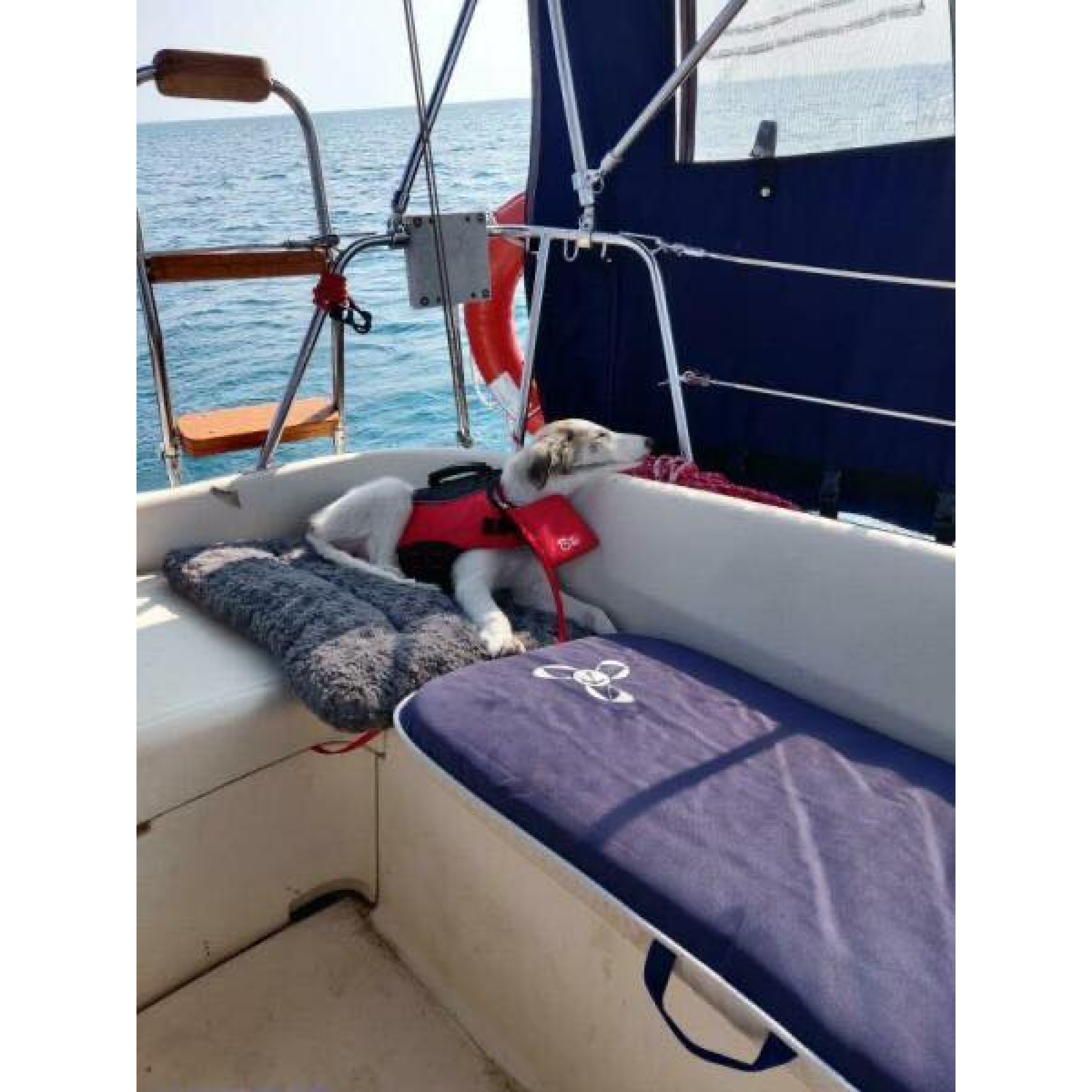 1983 Fantasia 27ft Jeanneau Cruising/Racing Sloop 1983 Fantasia 27ft Jeanneau Cruising/Racing Sloop