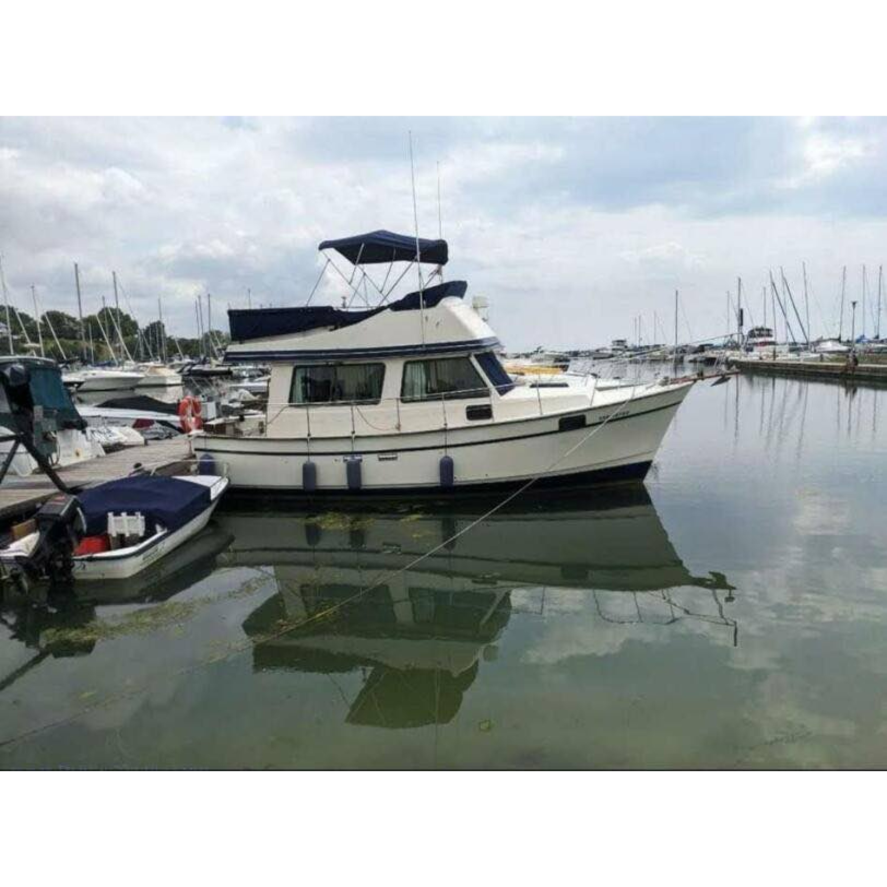 1981 30ft Campion 310 Trawler 1981 30ft Campion 310 Trawler
