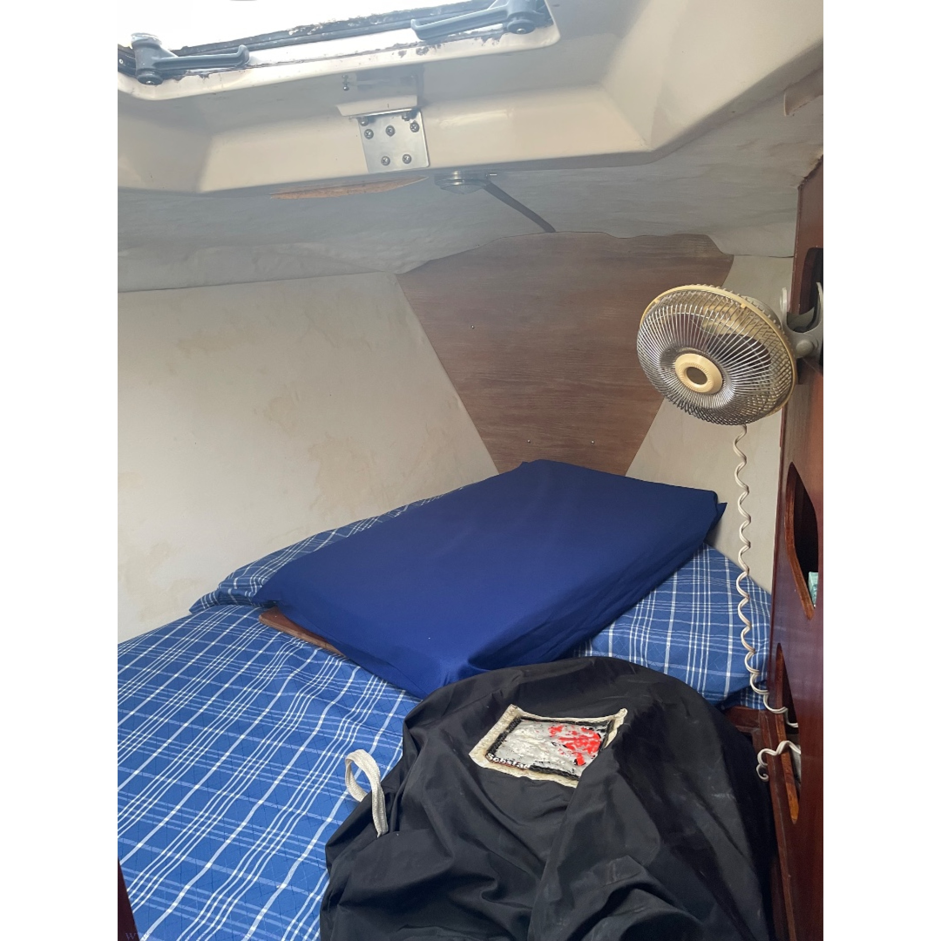 1981 Edel 820 Sailboat