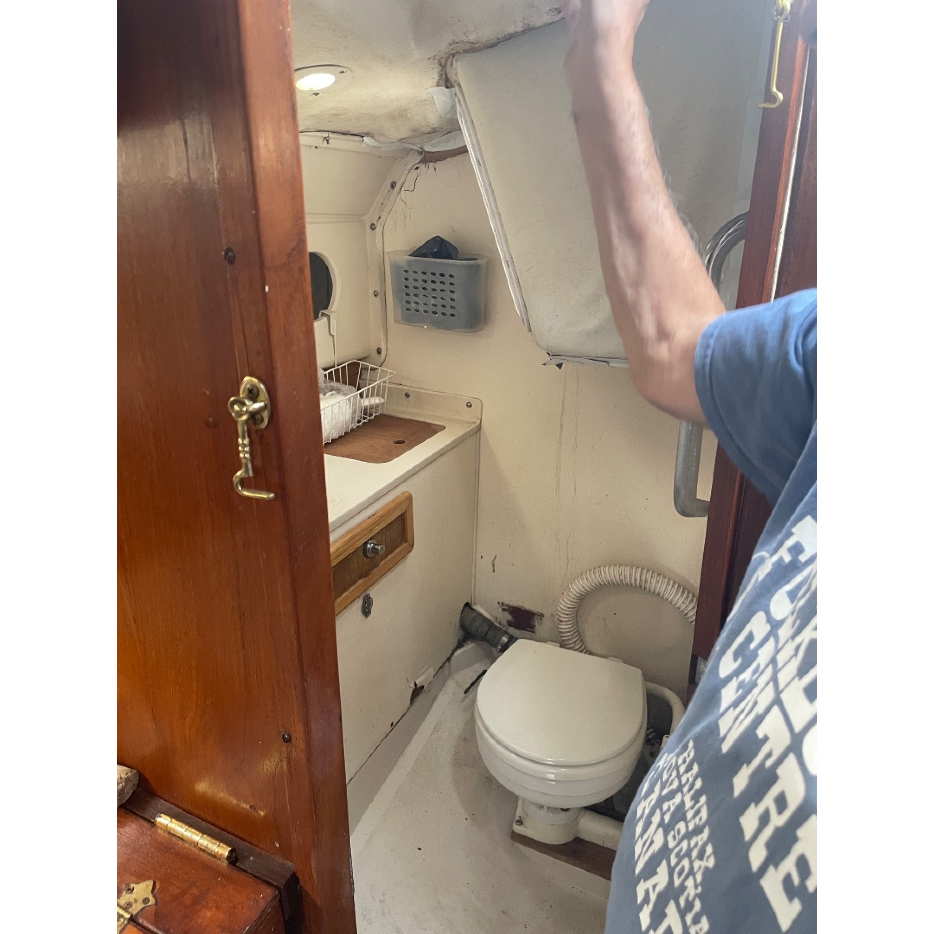 1981 Edel 820 Sailboat