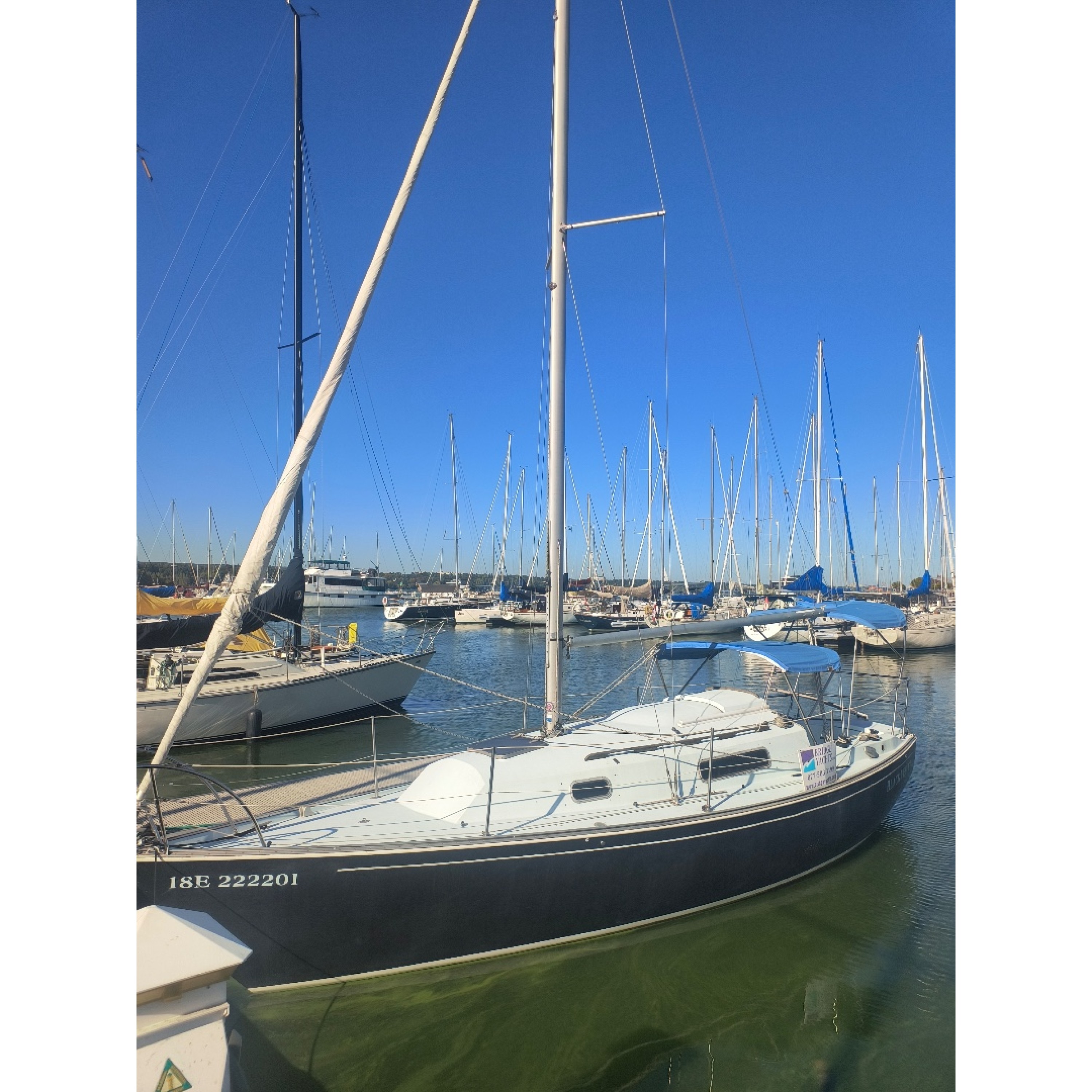 1975 Niagara 26 Sailboat