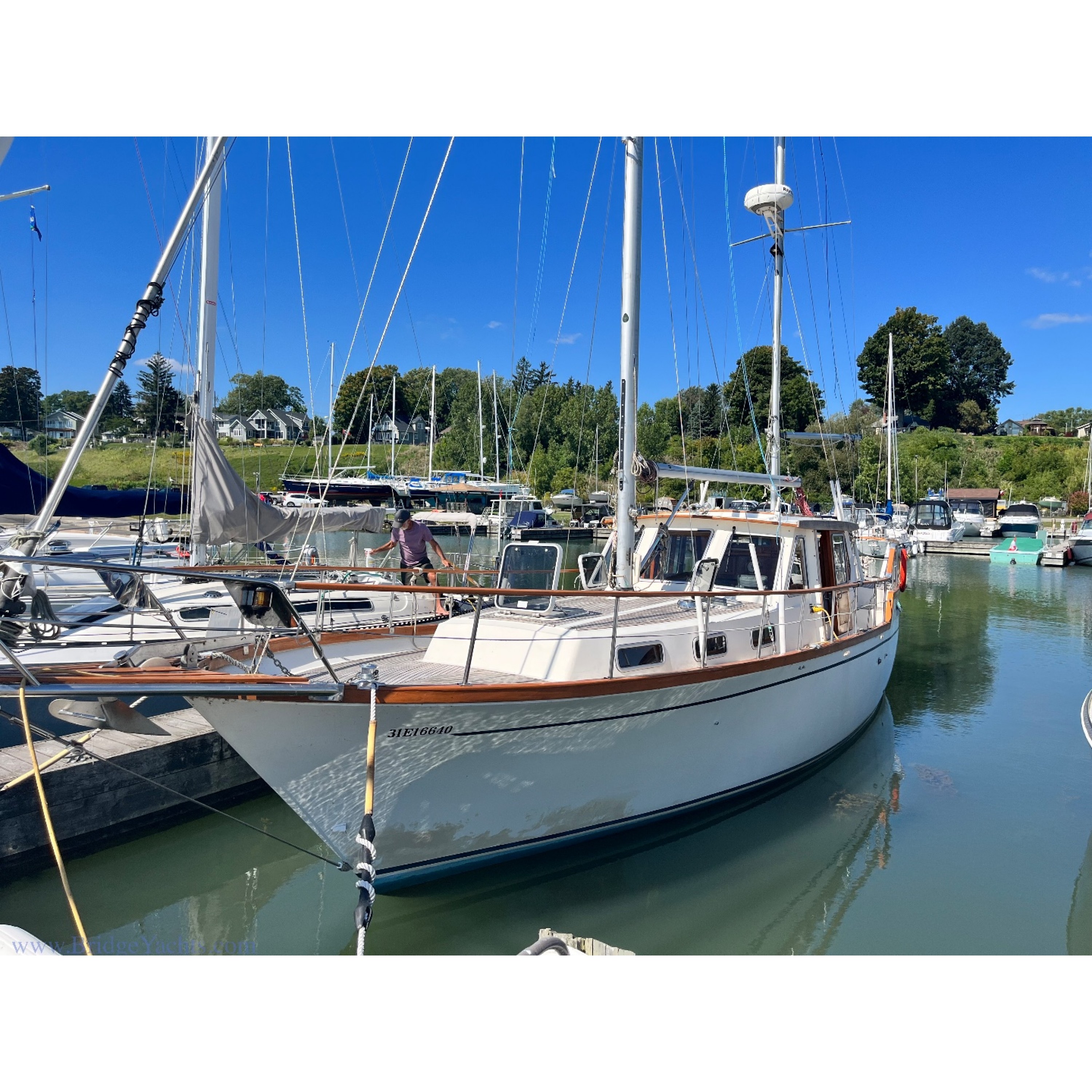 1986 36' NAUTICAT 36 Motorsailor Pampero