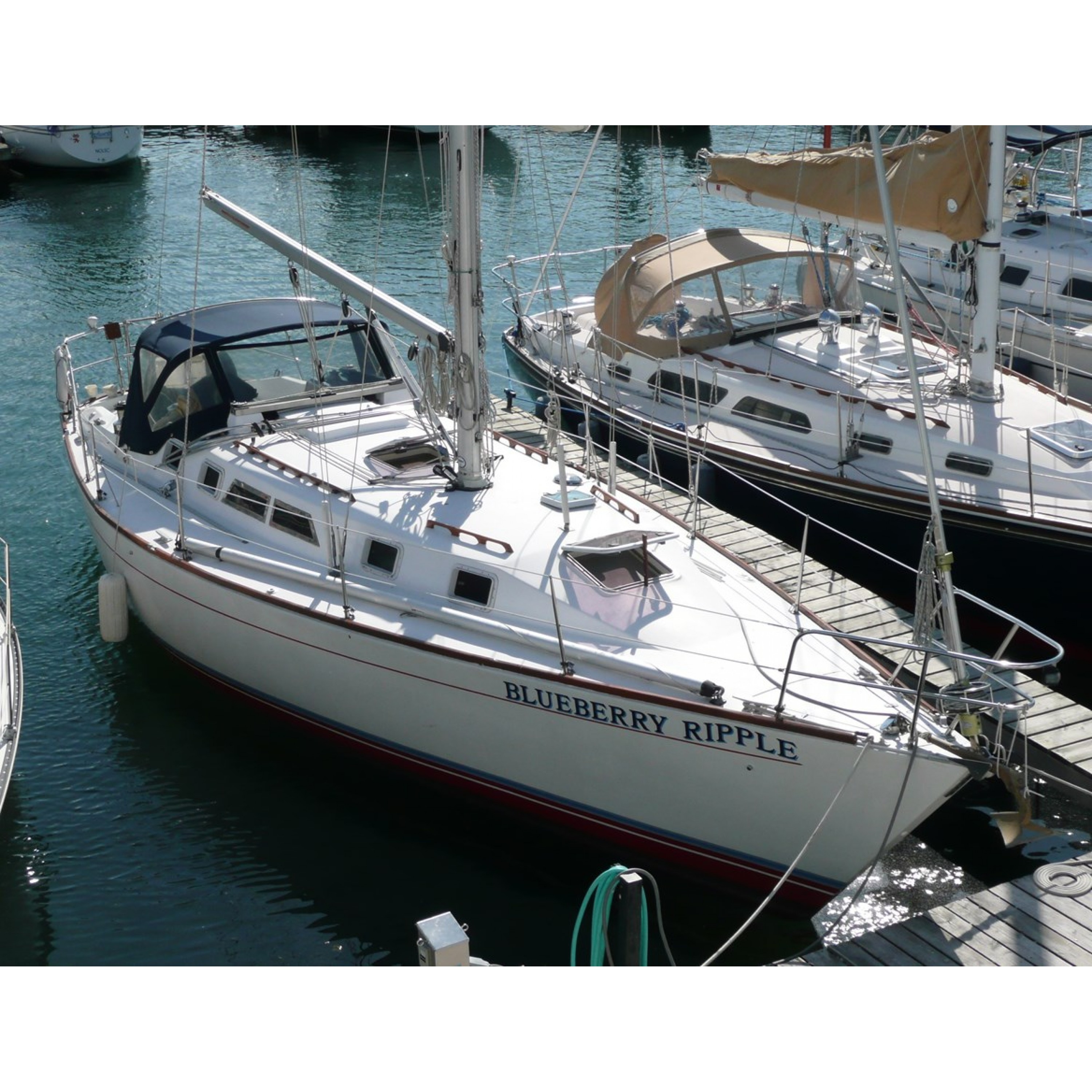 1986 38' Cruising/Racing Sailboat- Taylor 38 1986 38' Cruising/Racing Sailboat- Taylor 38