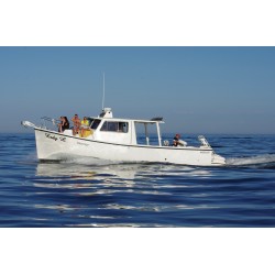 2006 35' Motor Yacht OCEAN FISHER 2006 35' Motor Yacht OCEAN FISHER