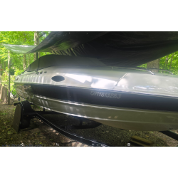 2009 Stingray 205CS Cuddy Cabin