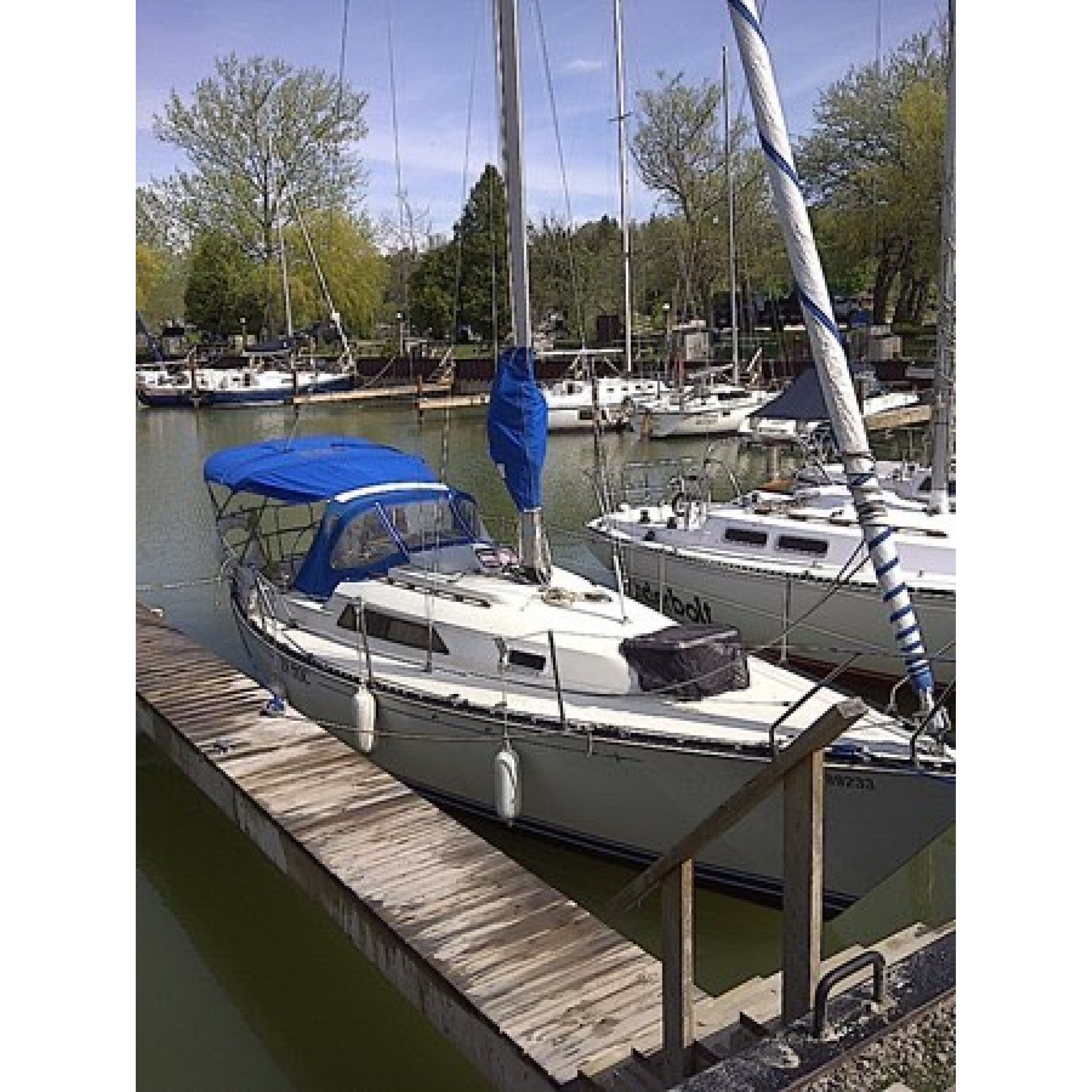 1983 28' 6" C and C YACHTS Cruising Sailboat In Hoc