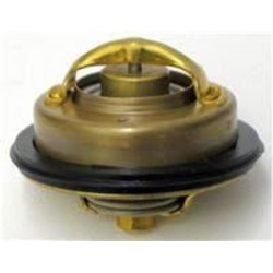 THERMOSTAT KIT VP SR21G