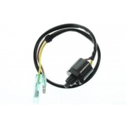 NEUTRAL SWITCH ASSEMBLY