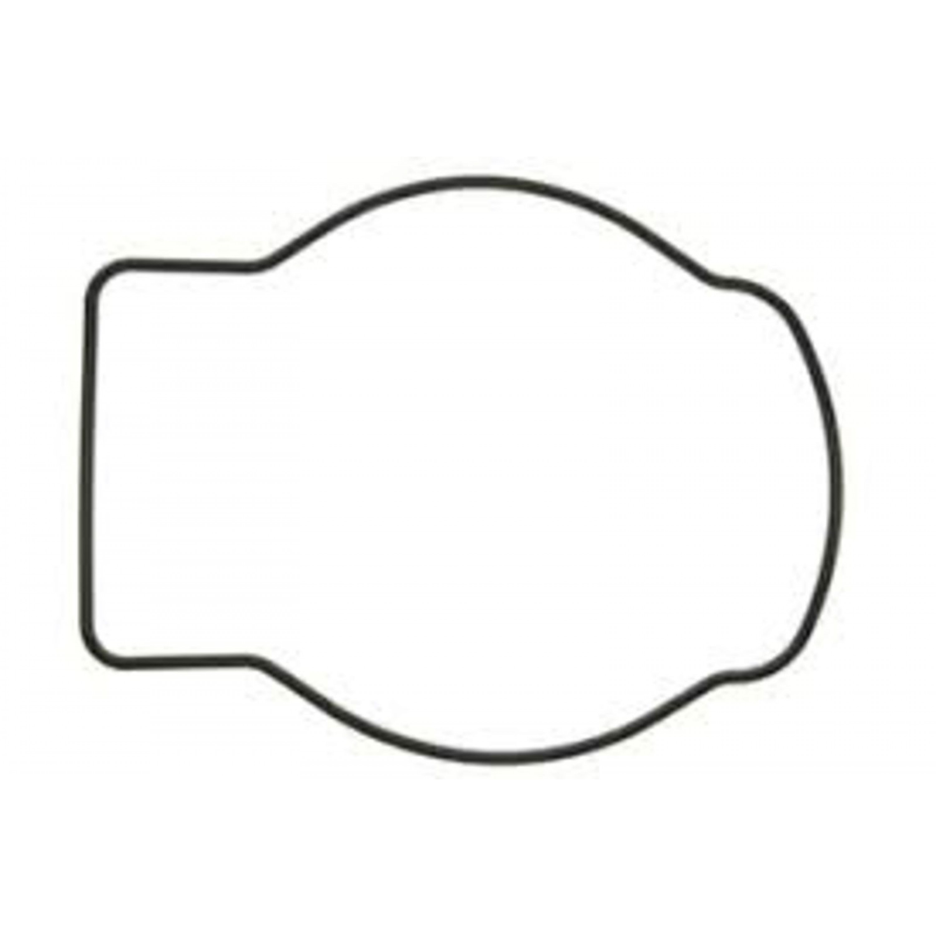 WATER PUMP O RING