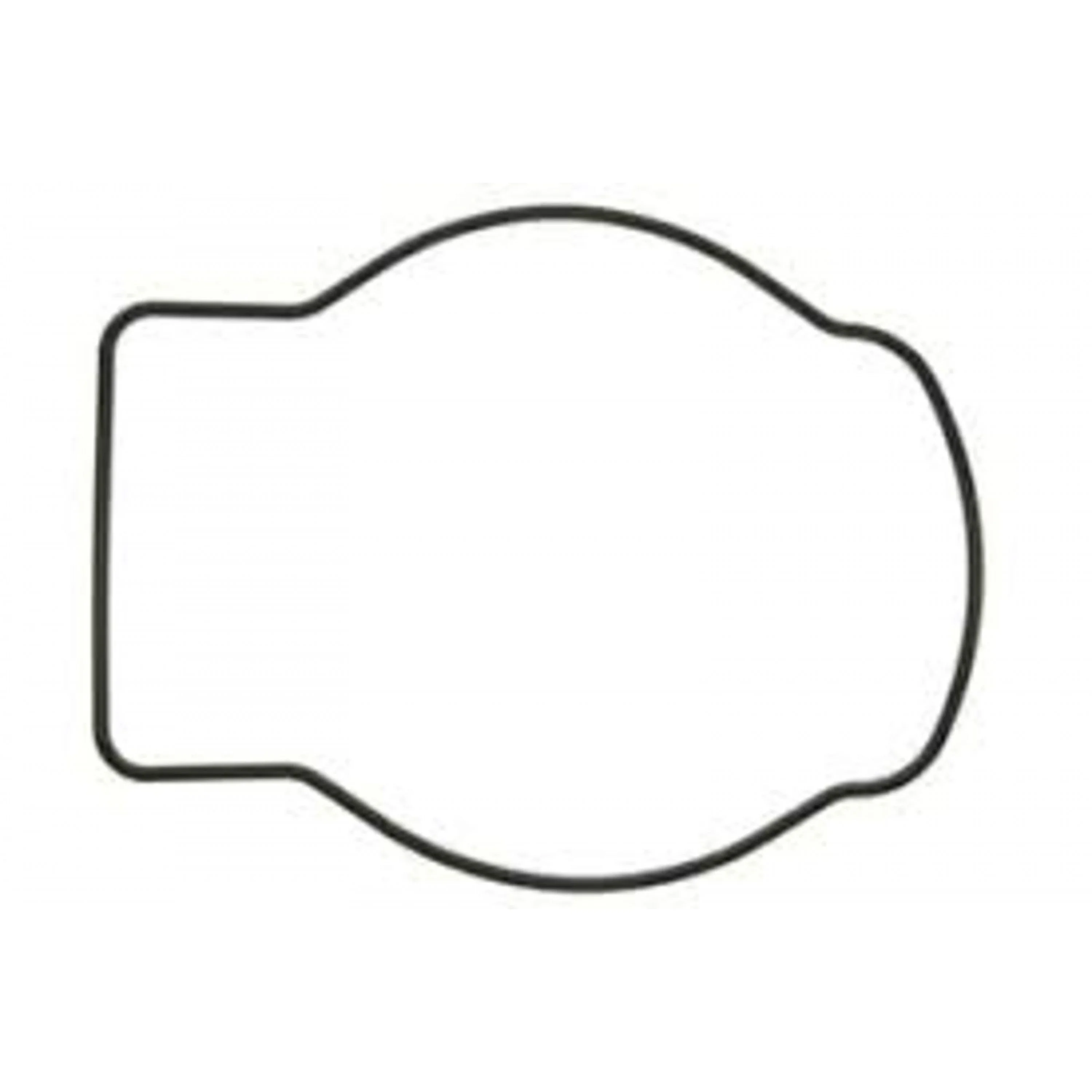 WATER PUMP O RING