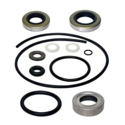 SIERRA LOWER UNIT SEAL KIT
