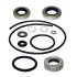 SIERRA LOWER UNIT SEAL KIT